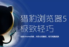 猎豹极轻浏览器1.0.11.1318版本发布
