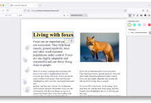 Firefox 125.0.1 版本发布-浏览迷
